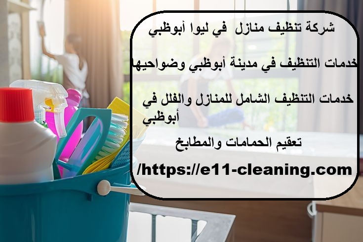 شركة تنظيف منازل في ليوا أبوظبي